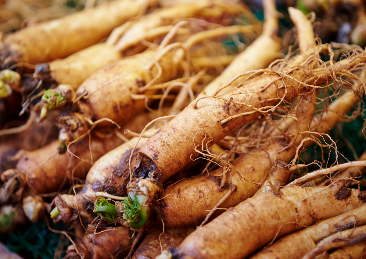 Ginseng (Panax Ginseng)