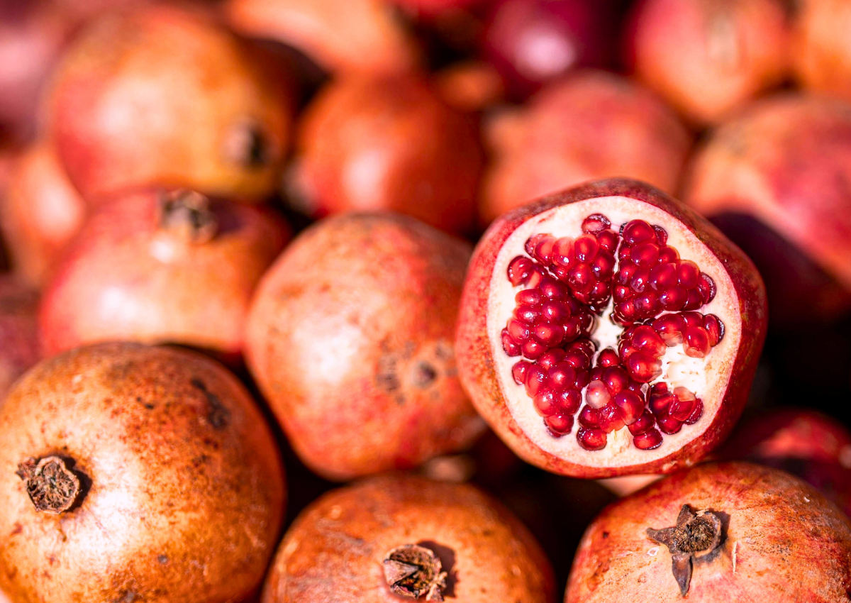 Granatapfel (Punica granatum)