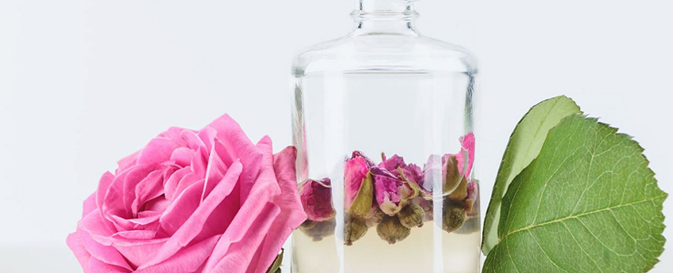Rose Essential Oil